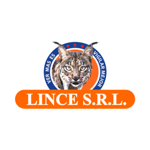 Lince